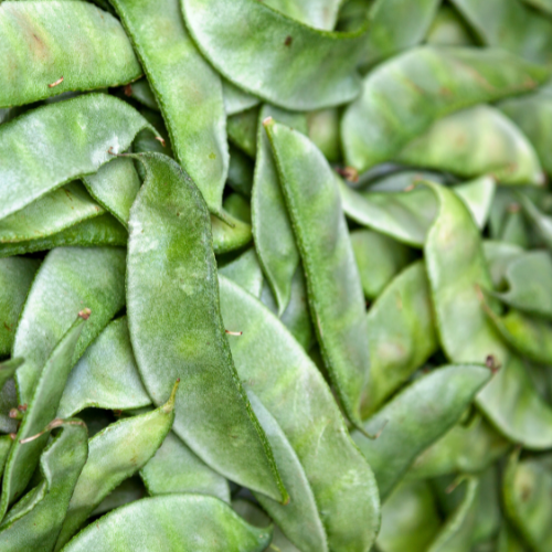 Broad Beans